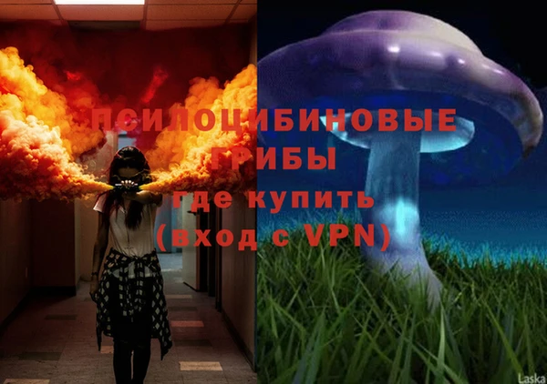 дмт Алзамай